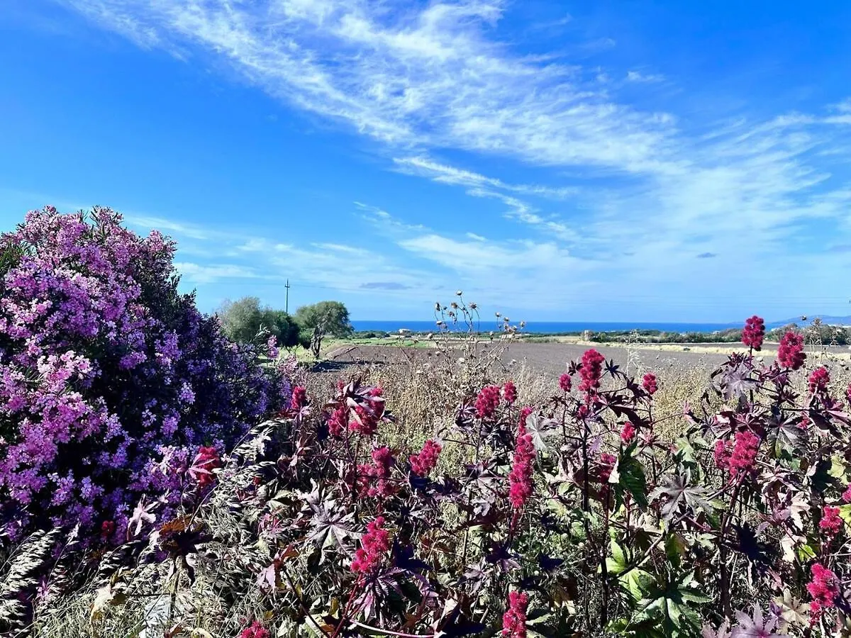 Dalia House - Key To Villas Valledoria  Italy